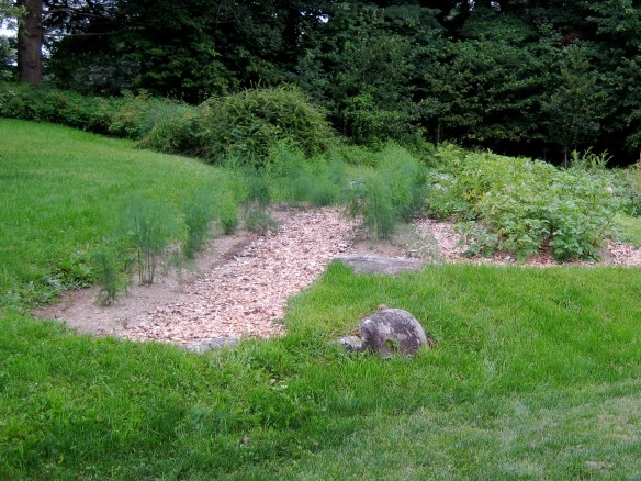 Late summer asparagus plants (left) little resemble spring spears.