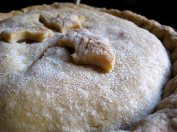 Homemade flakey pastry pie crust