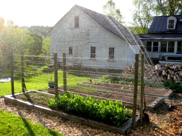 Simple Sprinkler System