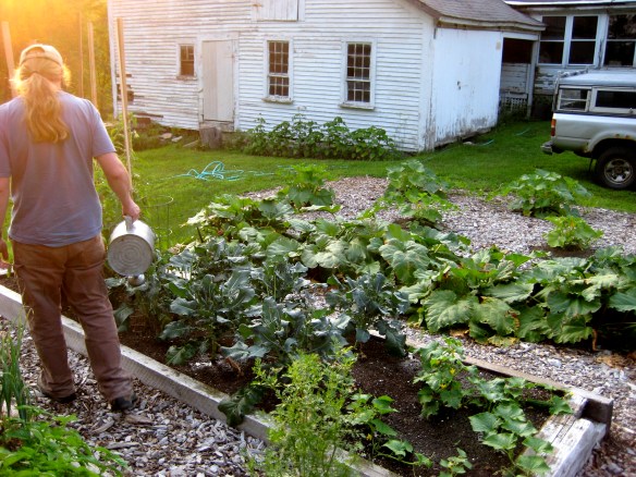 Galvanized Watering Can