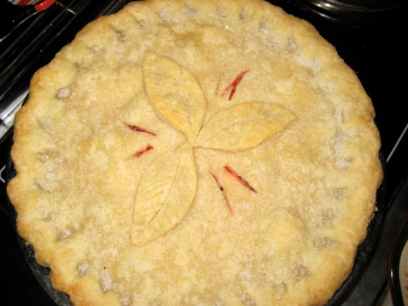 My homemade Strawberry Rhubarb pie