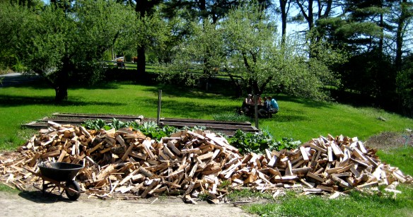 Roughly 5 cords of firewood, piled next to our garden, awaits stacking in our barn.