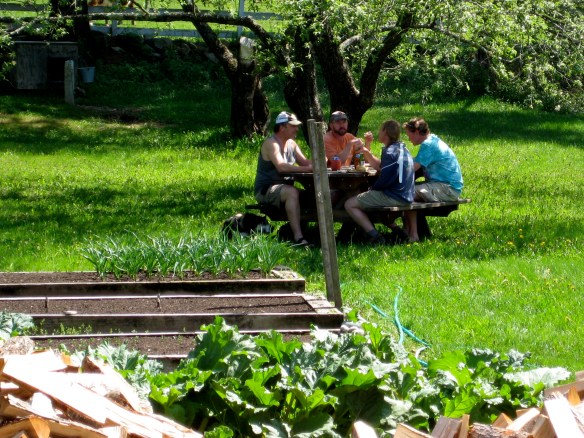 Four friends enjoy a late lunch at the picnic table Andy built for my birthday, beneath the shade of our old apple tree.  
