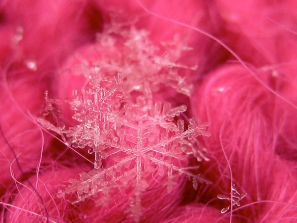 Digital macro photo of a snowflake on knitting by Carrie Cahill Mulligan of Canaan, New Hampshire.