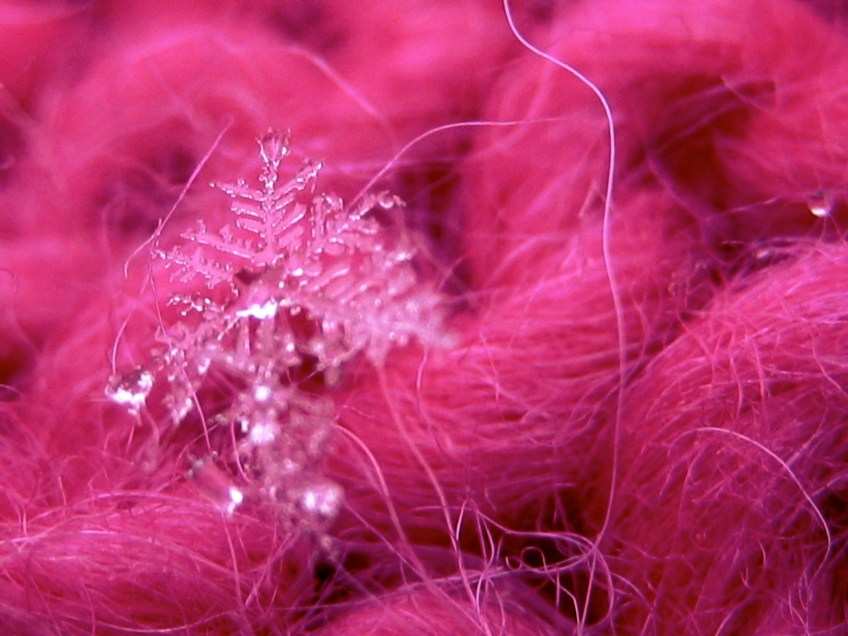 Digital macro photo of a snowflake on knitting by Carrie Cahill Mulligan of Canaan, New Hampshire.